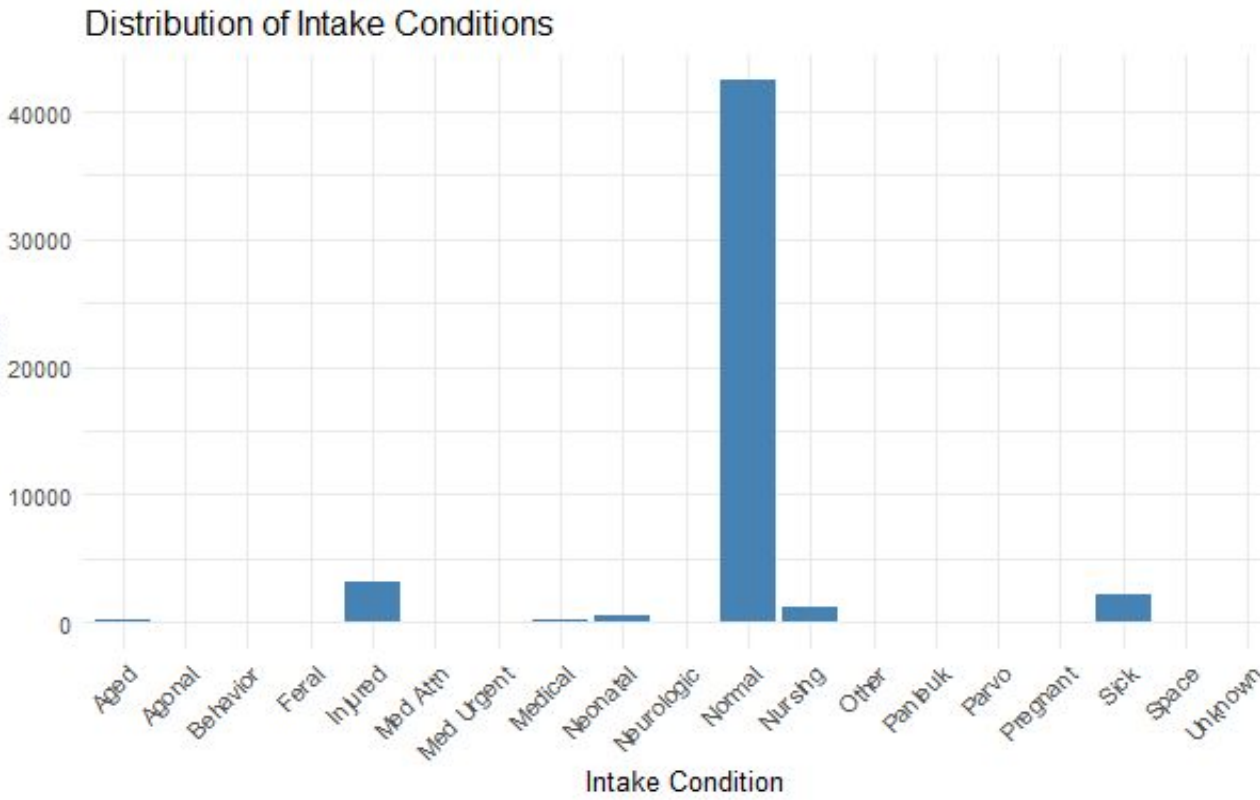Raw 18-category histogram of intake conditions showing severe class imbalance